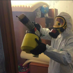 Уничтожение клопов в квартире. Пудож